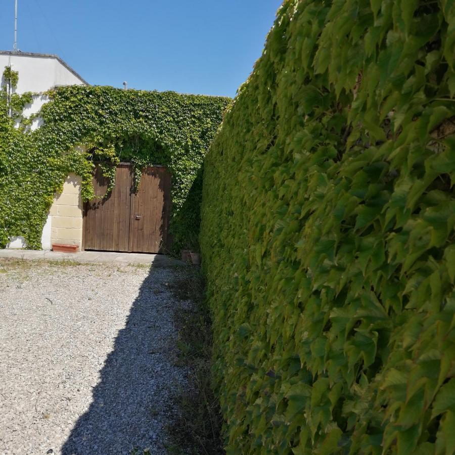 B&B Villasalento Le Cavallino di Lecce Exteriör bild